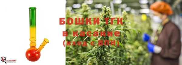 крисы Липки