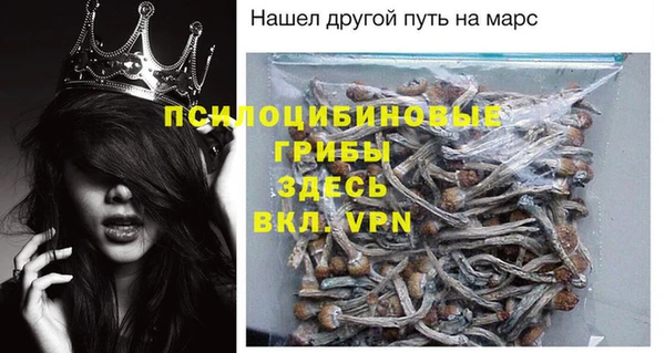 крисы Липки