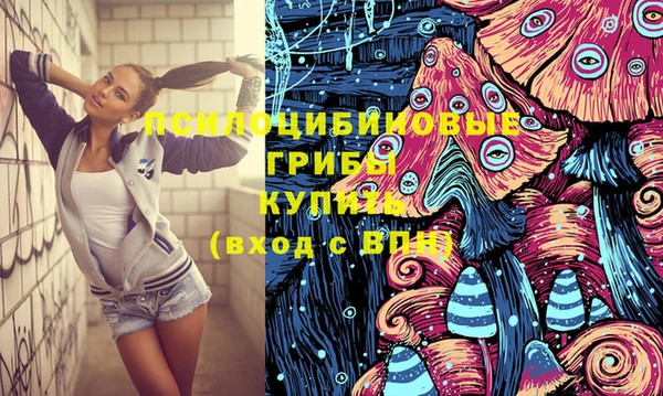 крисы Липки