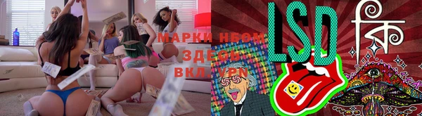 крисы Липки
