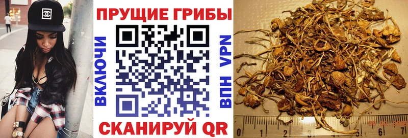 купить наркотик  Тихорецк  Галлюциногенные грибы ЛСД 