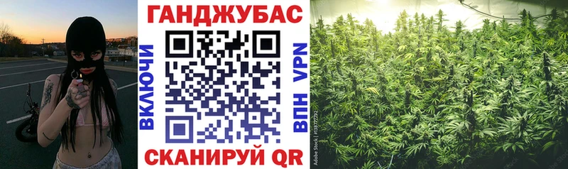 Марихуана сатива  MEGA как зайти  Тихорецк 